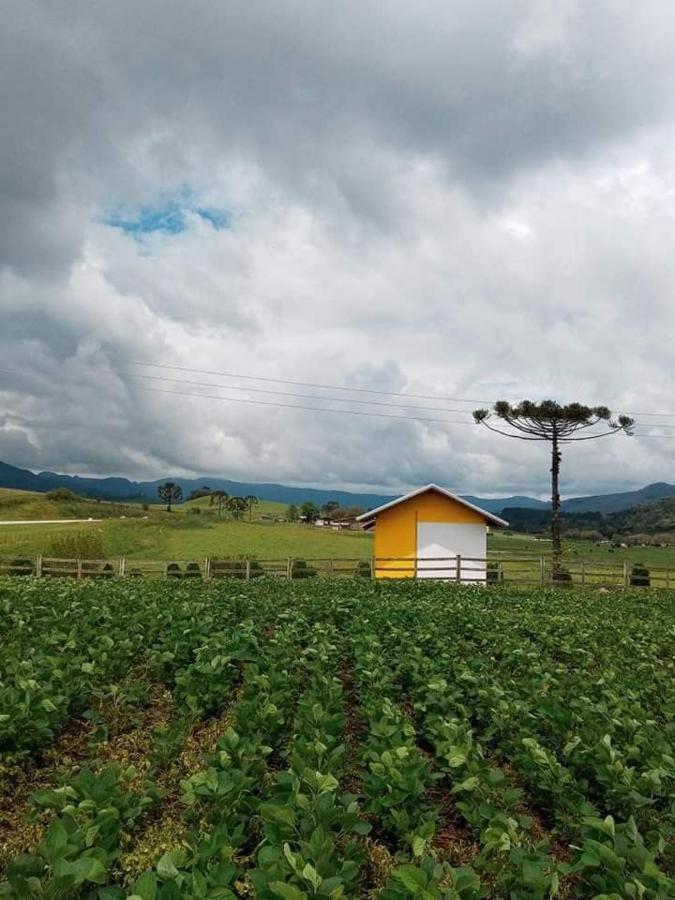 Cabana Caminho Das Borboletas Bom Retiro  Buitenkant foto